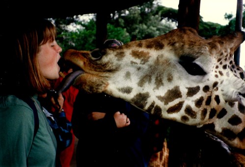 My high school visit to the giraffes