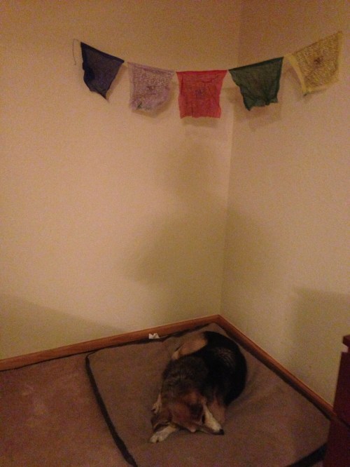 Hoping these prayer flags work.