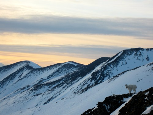 A good omen on one of our last days