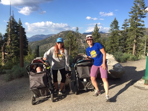 Top of Meyers Grade with our favorite walking buddy